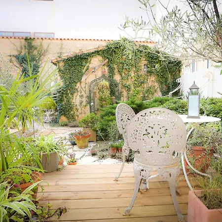 Du Palais Bed & Breakfast Carcassonne